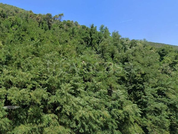 terreno agricolo in vendita a Lucca in zona Chiatri