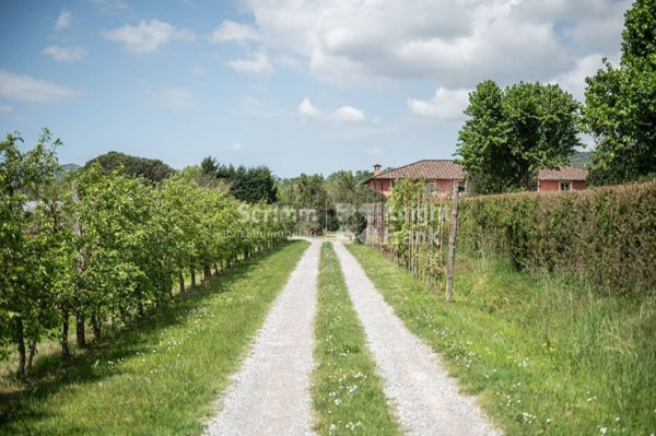casa indipendente in vendita a Lucca in zona Sant'Alessio