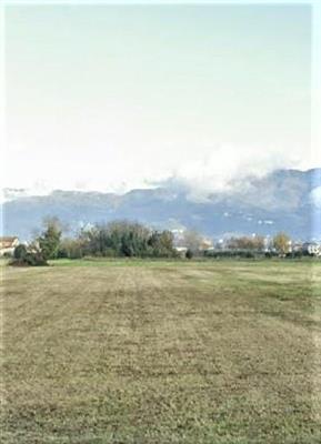 terreno agricolo in vendita a Lucca in zona San Pietro a Vico
