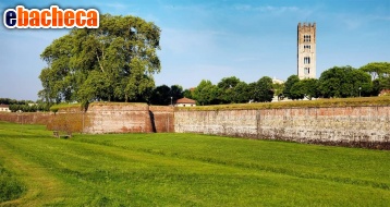 casa indipendente in vendita a Lucca in zona Zona San Concordio