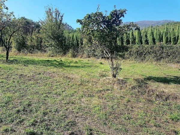 terreno agricolo in vendita a Lucca