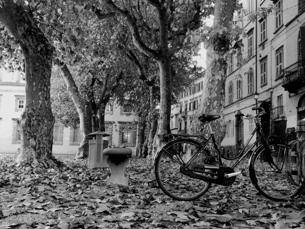 appartamento in vendita a Lucca in zona Centro Città