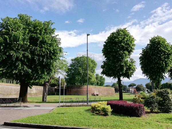 appartamento in vendita a Lucca in zona Centro Città