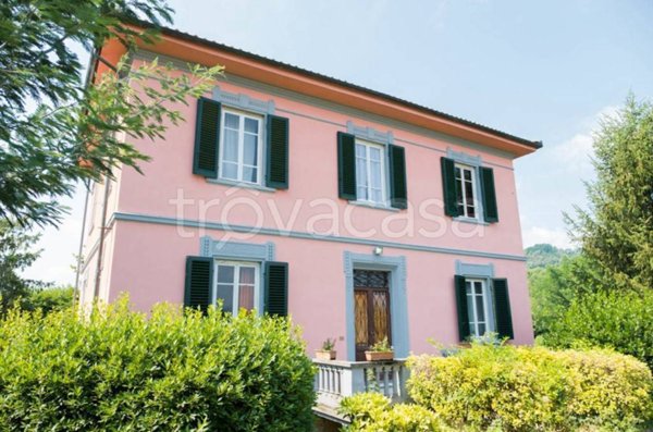 negozio in vendita a Lucca in zona Vicopelago
