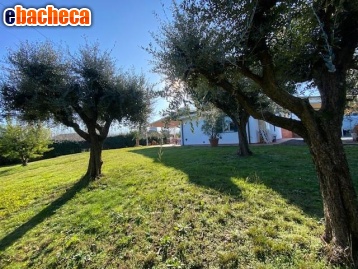 casa indipendente in vendita a Lucca in zona San Pietro a Vico