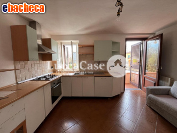 casa indipendente in vendita a Lucca in zona Sant'Angelo in Campo