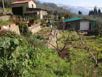 appartamento in vendita a Lucca