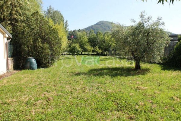 casa indipendente in vendita a Lucca in zona Sant'Angelo in Campo