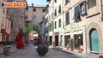 negozio in vendita a Lucca in zona Centro Città