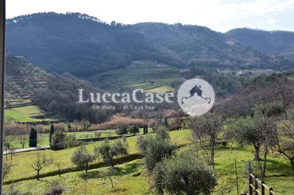 casa indipendente in vendita a Lucca in zona Ponte a Moriano