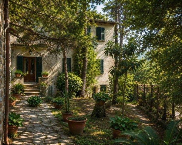 azienda agricola in vendita a Lucca in zona Centro Città