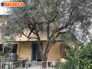 casa indipendente in vendita a Lucca in zona Vicopelago