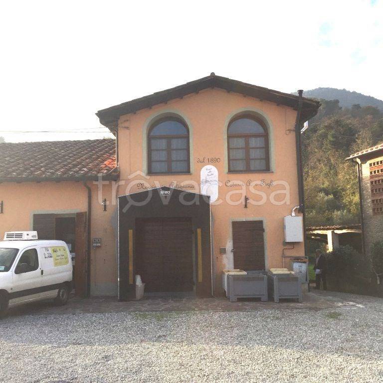 casa indipendente in vendita a Lucca in zona Maggiano