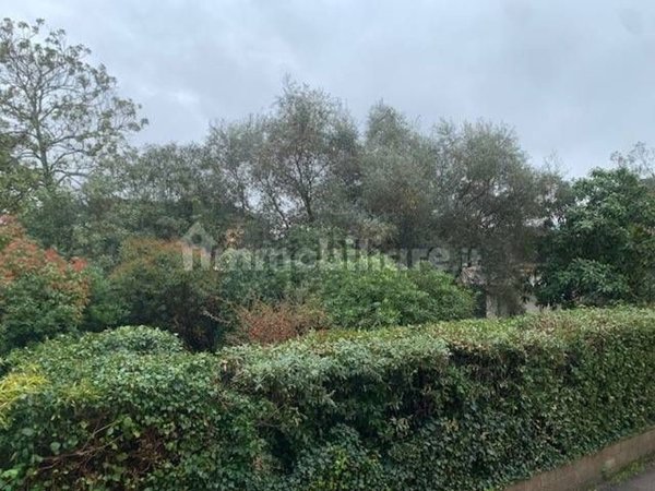 appartamento in vendita a Lucca in zona Zona San Concordio