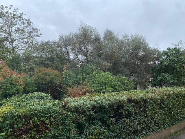 appartamento in vendita a Lucca in zona Zona San Concordio