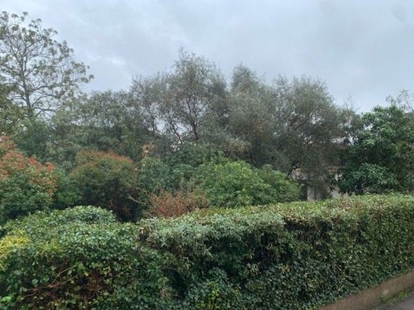 appartamento in vendita a Lucca in zona Zona San Concordio