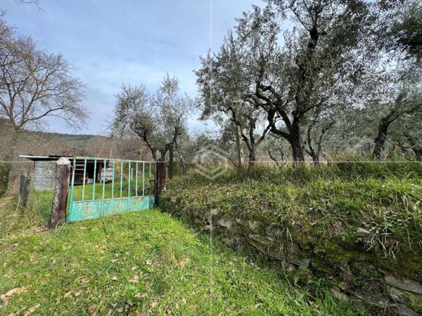 casa indipendente in vendita a Lucca in zona Balbano