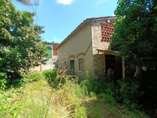 azienda agricola in vendita a Lucca in zona Pontetetto