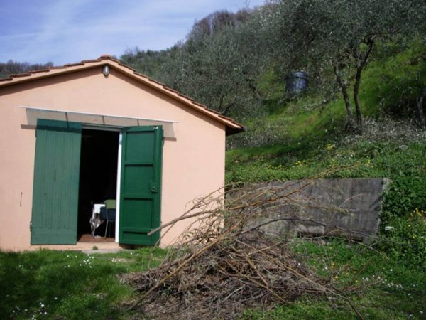 terreno agricolo in vendita a Lucca in zona San Macario in Piano