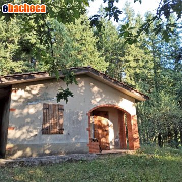 casa indipendente in vendita a Lucca in zona Pieve di Brancoli
