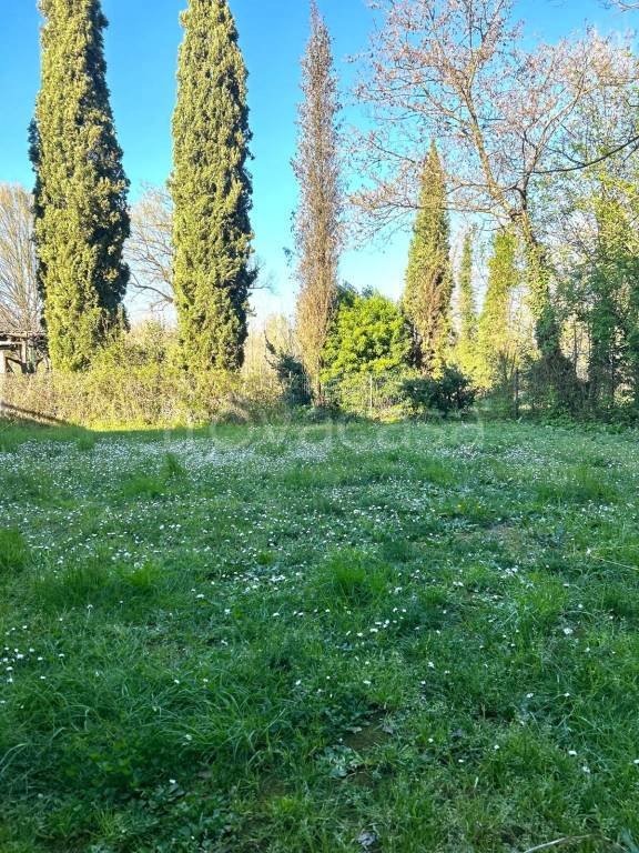 casa indipendente in vendita a Lucca in zona zona San Filippo
