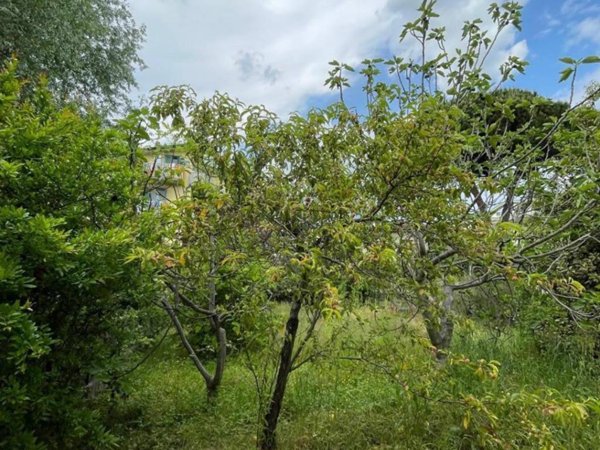 terreno agricolo in vendita a Lucca in zona zona Sorbano