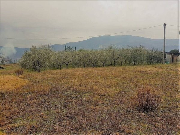 terreno agricolo in vendita a Lucca in zona Nave