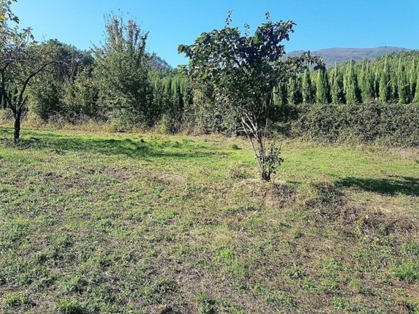 appartamento in vendita a Lucca in zona San Donato