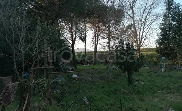 appartamento in vendita a Lucca in zona Balbano