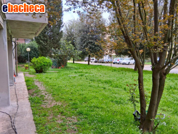 appartamento in vendita a Lucca in zona Sant'Anna