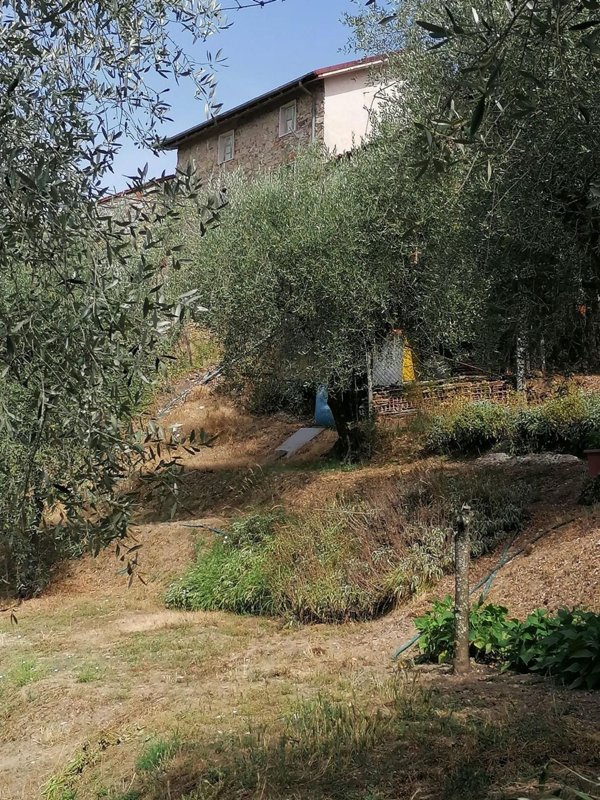 casa indipendente in vendita a Lucca in zona Piazzano