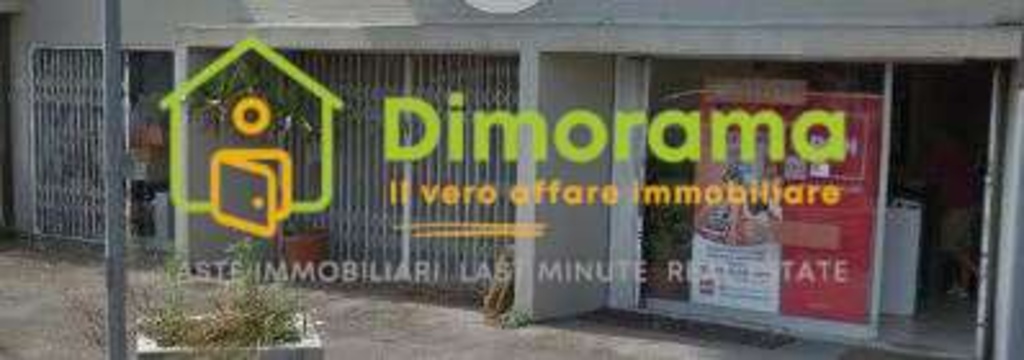 esavano in vendita a Lucca in zona zona San Vito