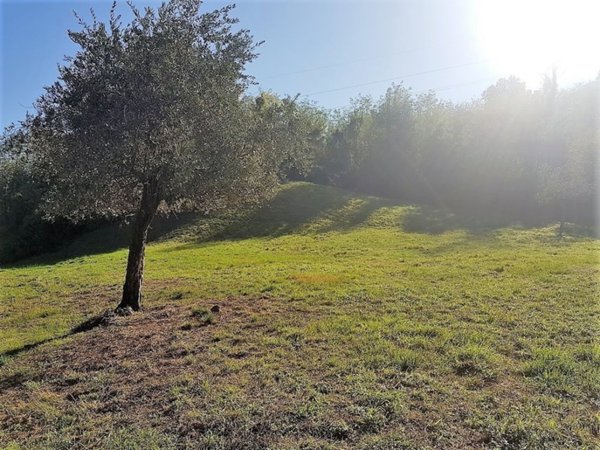 terreno agricolo in vendita a Lucca in zona Balbano