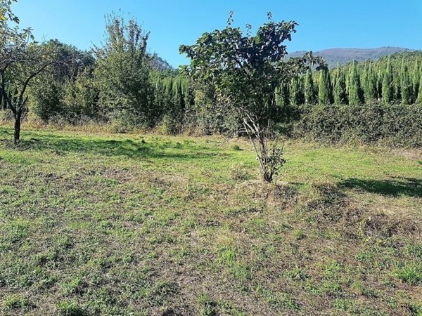 terreno agricolo in vendita a Lucca in zona Cerasomma