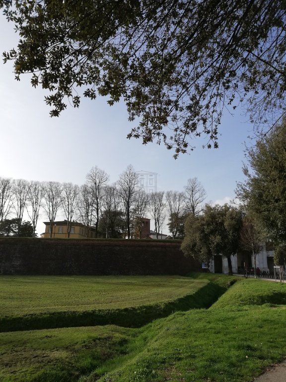 appartamento in vendita a Lucca in zona zona San Vito
