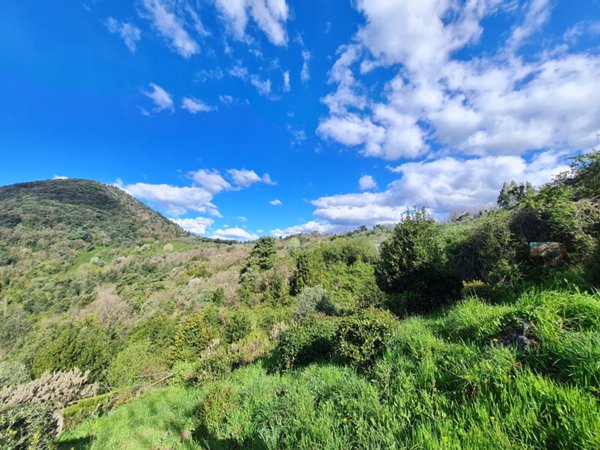 terreno agricolo in vendita a Lucca in zona Ponte San Pietro