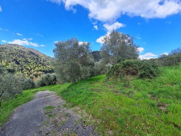 terreno agricolo in vendita a Lucca in zona Ponte San Pietro