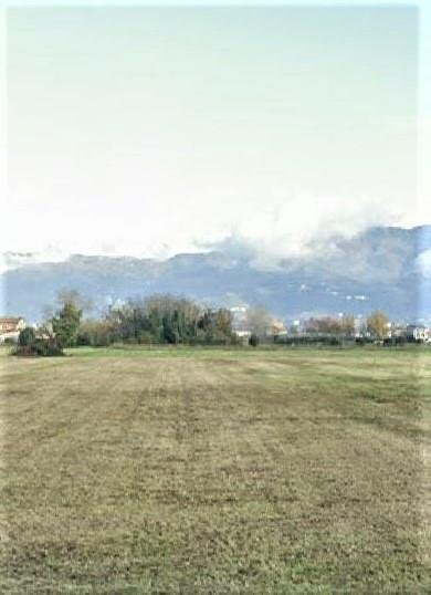 terreno agricolo in vendita a Lucca
