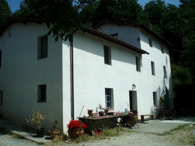 terreno agricolo in vendita a Lucca in zona Torre