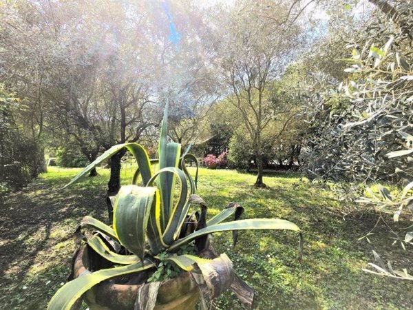 casa indipendente in vendita a Lucca in zona Nozzano