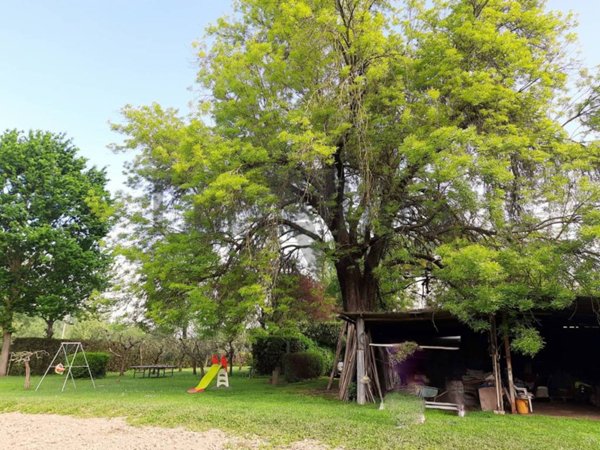 casa indipendente in vendita a Lucca in zona zona Sorbano