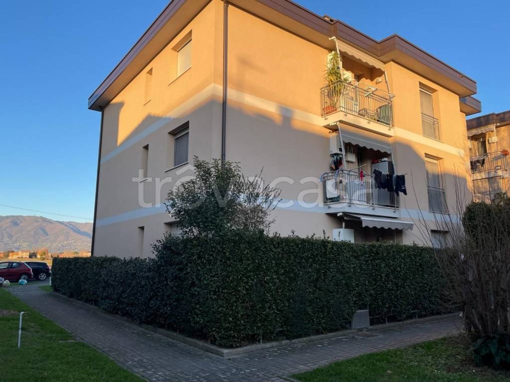 appartamento in vendita a Lucca in zona zona Antraccoli