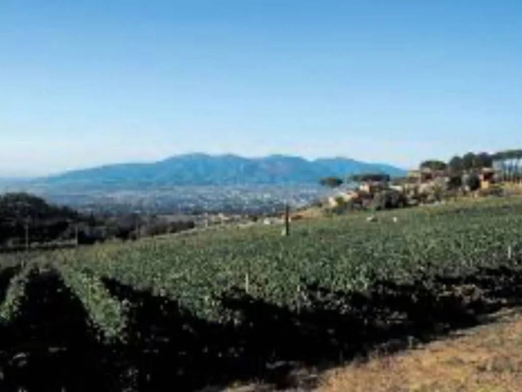 casa indipendente in vendita a Lucca in zona San Lorenzo a Vaccoli