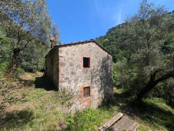 casa indipendente in vendita a Lucca in zona Maggiano