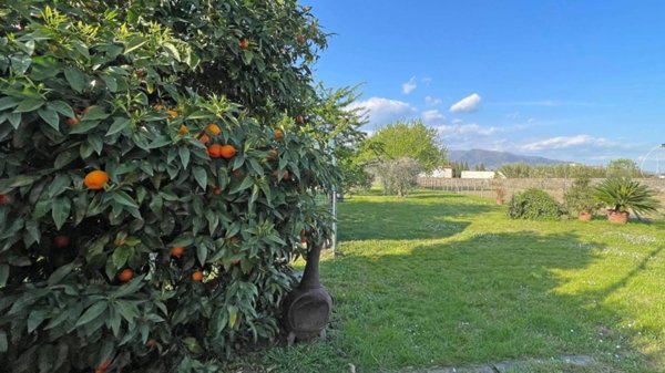 casa indipendente in vendita a Lucca in zona San Cassiano a Vico