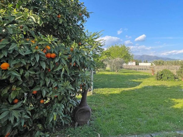 casa indipendente in vendita a Lucca in zona San Pietro a Vico