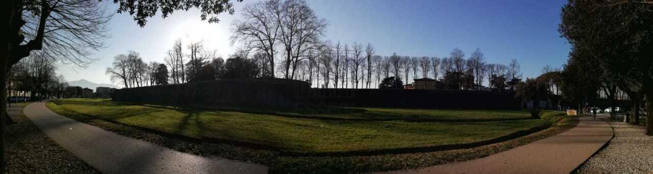 appartamento in affitto a Lucca in zona Centro Città