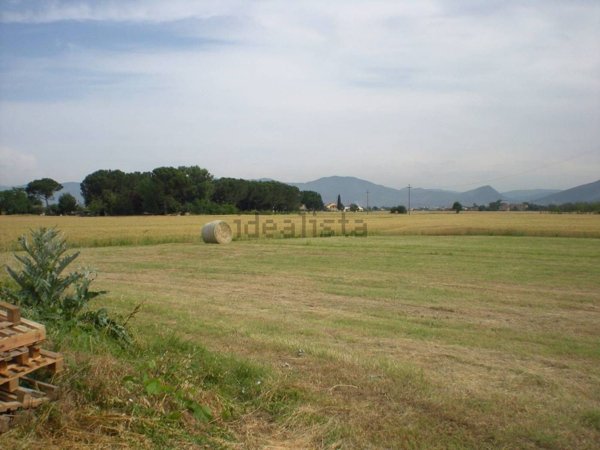 appartamento in vendita a Lucca in zona Massa Pisana