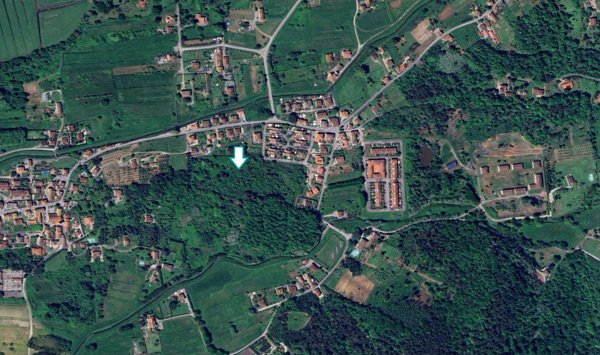 terreno agricolo in vendita a Lucca in zona San Macario in Piano