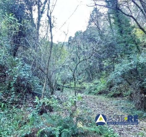 terreno agricolo in vendita a Lucca in zona Centro Città